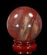 Colorful Petrified Wood Sphere #41940-1